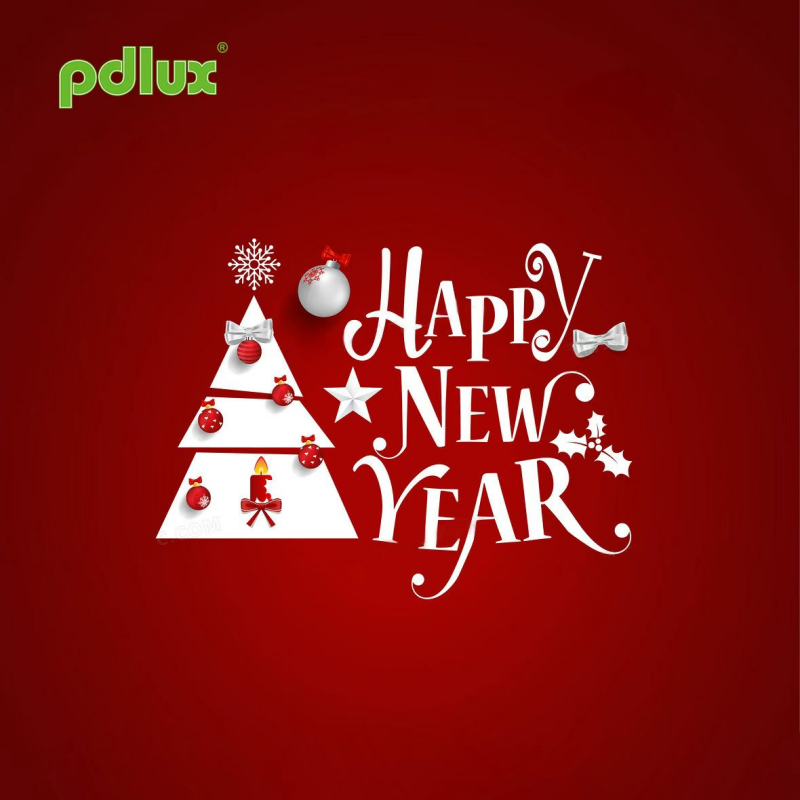 PDLUX-тен Рождество және Жаңа жыл құтты болсын!